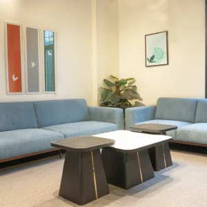 Blue sofa set Pune