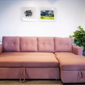 L shape sofa cum bed Pune